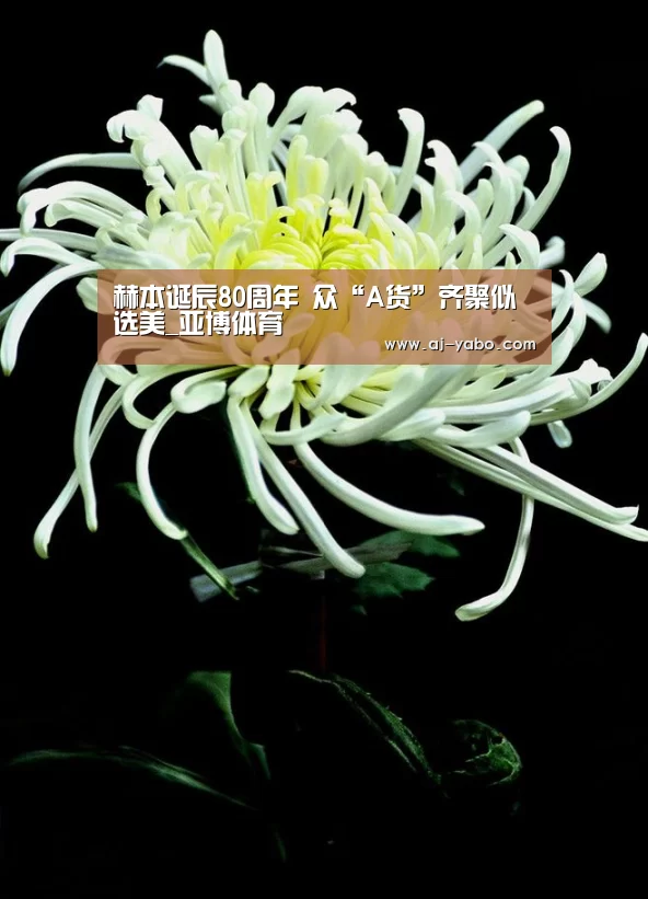 赫本诞辰80周年 众“A货”齐聚似选美_亚博体育(图4) 亚博体育